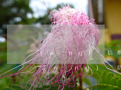 網(wǎng)貸信用卡逾期如何去談利息，網(wǎng)貸信用卡逾期：如何談判利息？